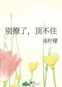 顶不住 南柠檬 攻是谁