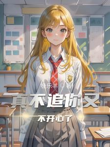 不追求你了