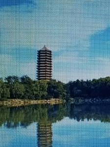 鸿缘臻品怎么样好不好