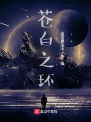 苍白之石