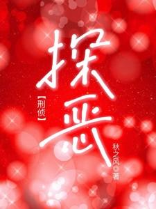 探案x
