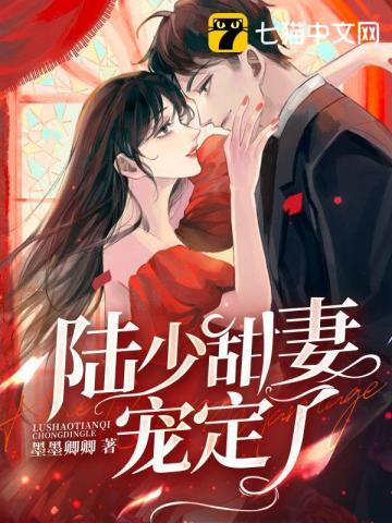 陆少宠妻系列